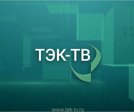 ТЭК-ТВ: Как сделать ФГИС ЦС полезной и эффективной. Малахов Владимир Иванович.