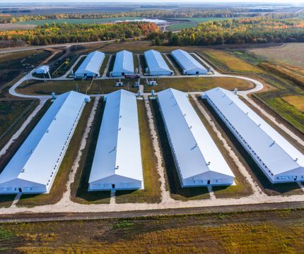 Система «Пол по грунту» с ПЕНОПЛЭКС применена при расширении производственных мощностей агрохолдинга «Дамате» в Пензенской области