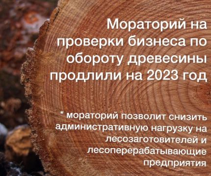 Мораторий на проверки бизнеса по обороту древесины продлили на 2023 год
