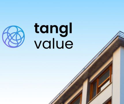Внесение кодов в модель vs tangl