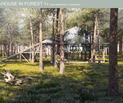 «HOUSE IN FOREST» – дом единения с природой