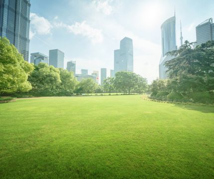 Кровля, очищающая воздух:  новая линейка TECHNOELAST ENVIRO для эко-стройки