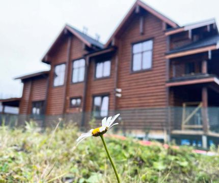 ​Ближе к природе и свету. Современные решения для домов из бруса