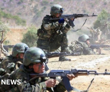 СВО – идеальная обучающая среда для военной организации КНДР