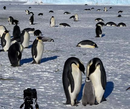 Морозостойкий прожектор JazzWay PFL-S8 — испытано холодом Антарктиды