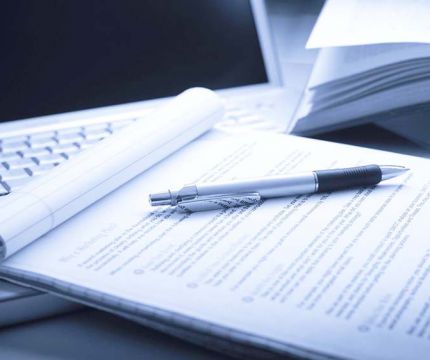 Приложение №2. Анкета. Отечественная программная разработка