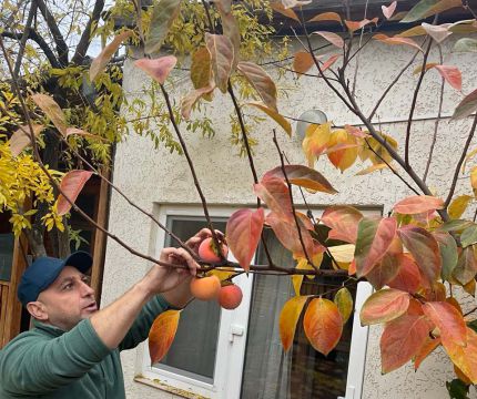 Крым – природа и культура рождают будущее туризма