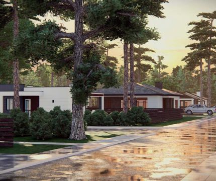 Архитектурная концепция коттеджного поселка «Модуль»