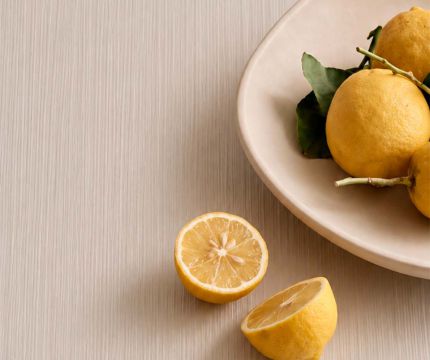 ​У Sloplast вышло сразу 4 новых тиснения для HPL