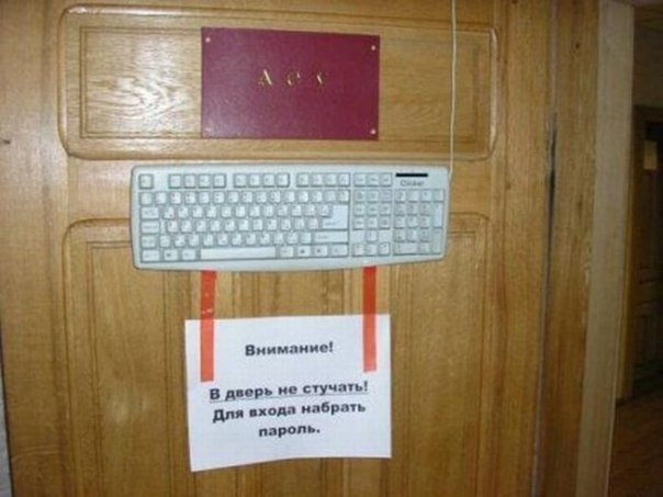 fb142845f565b7b1ea48eccfaea35616.jpeg
