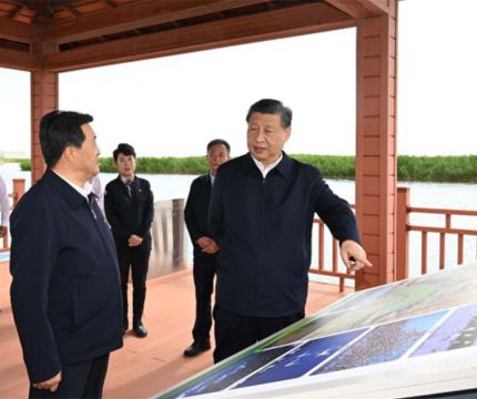 «Великая зеленая стена» – частное экспертное мнение о китайской «Программе защитных лесов трех северных регионов»